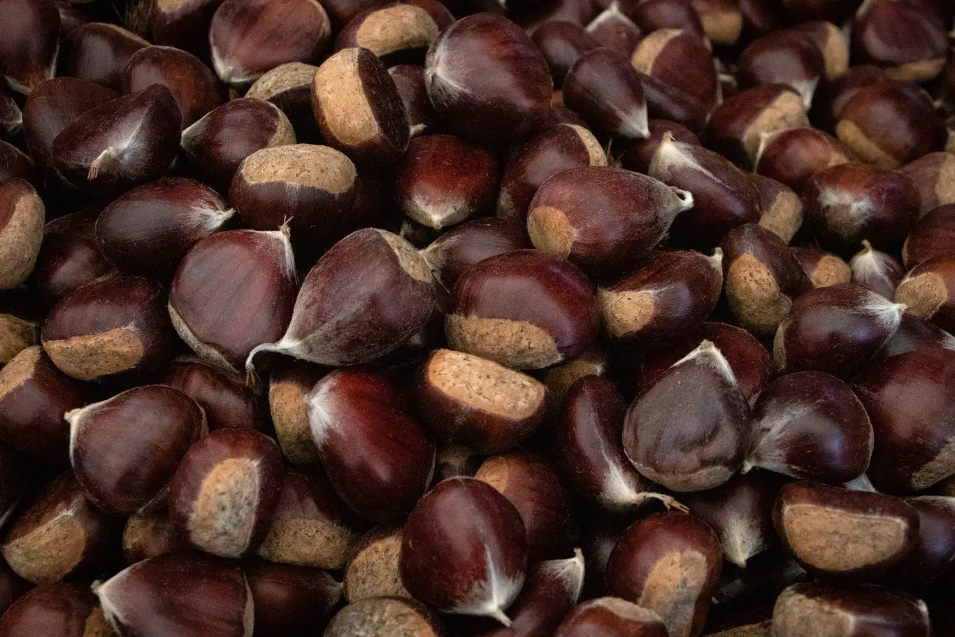 Our work 7